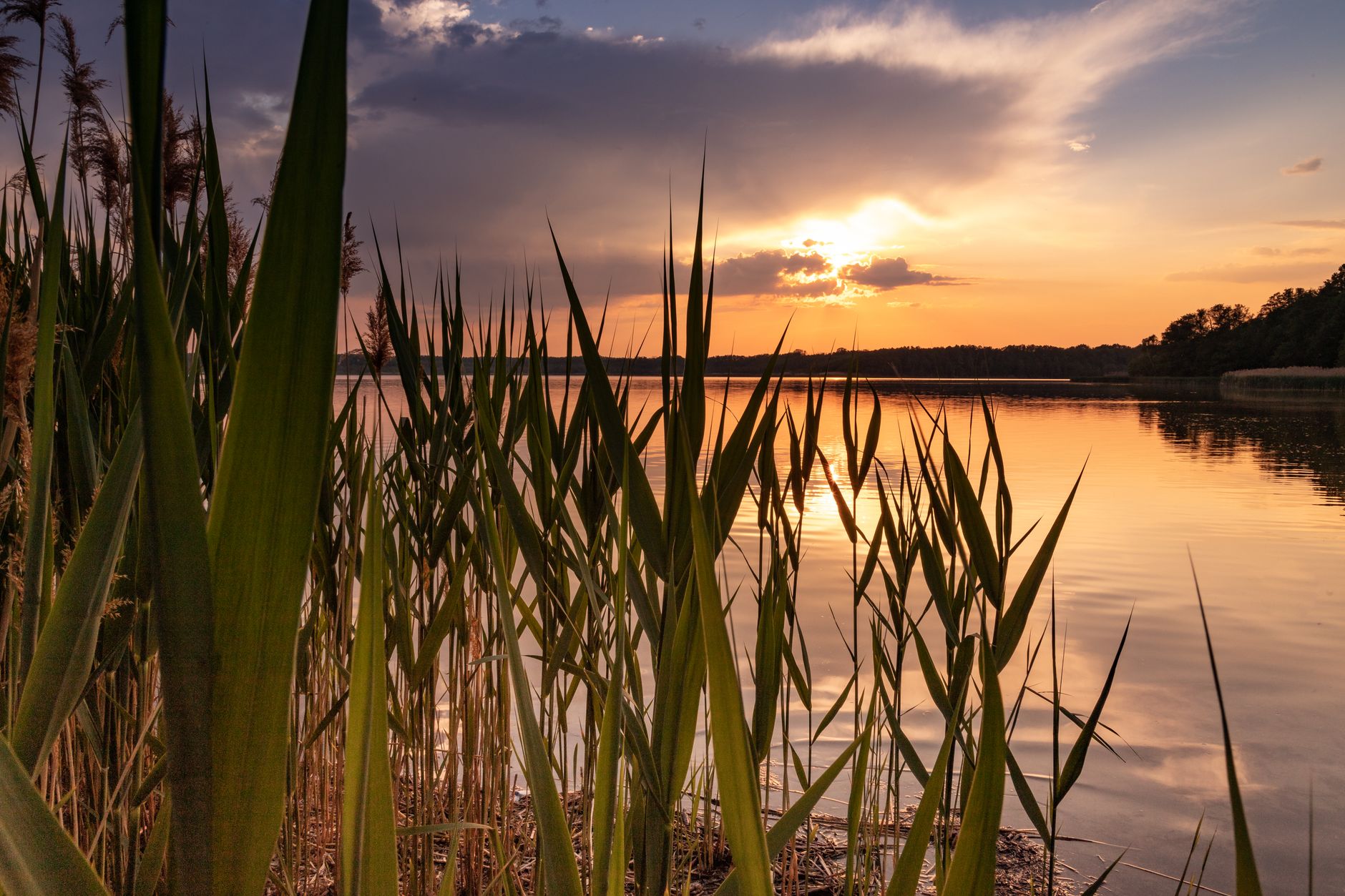 Regeneracja nad jeziorem Mazury
